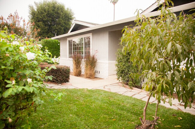 Front yard - 6 Church St