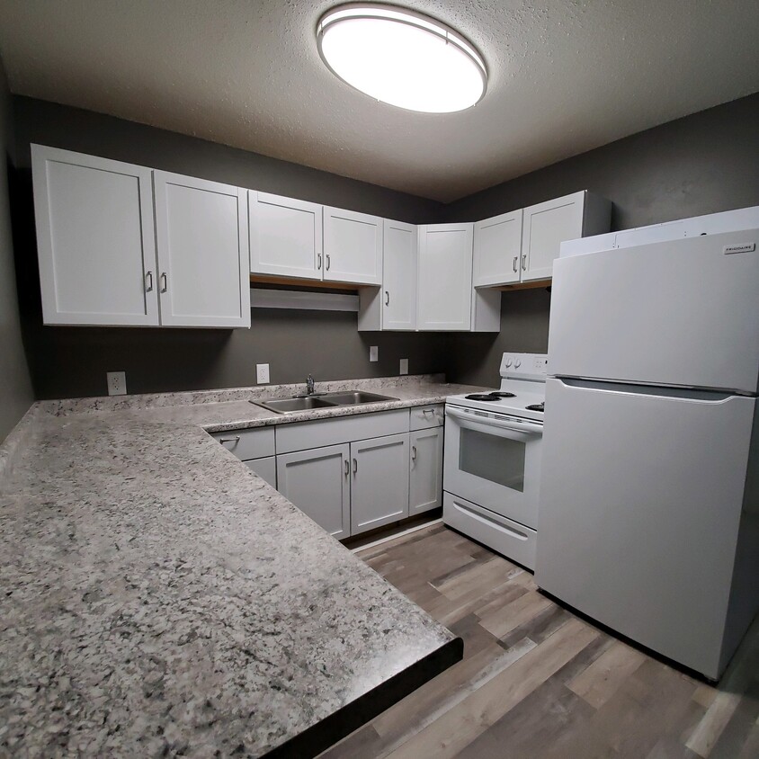 Remodeled Two Bedroom - Roosevelt Green