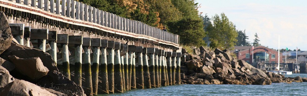 Picture of Bellingham