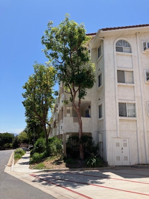 Building Photo - 2623 Antonio Dr