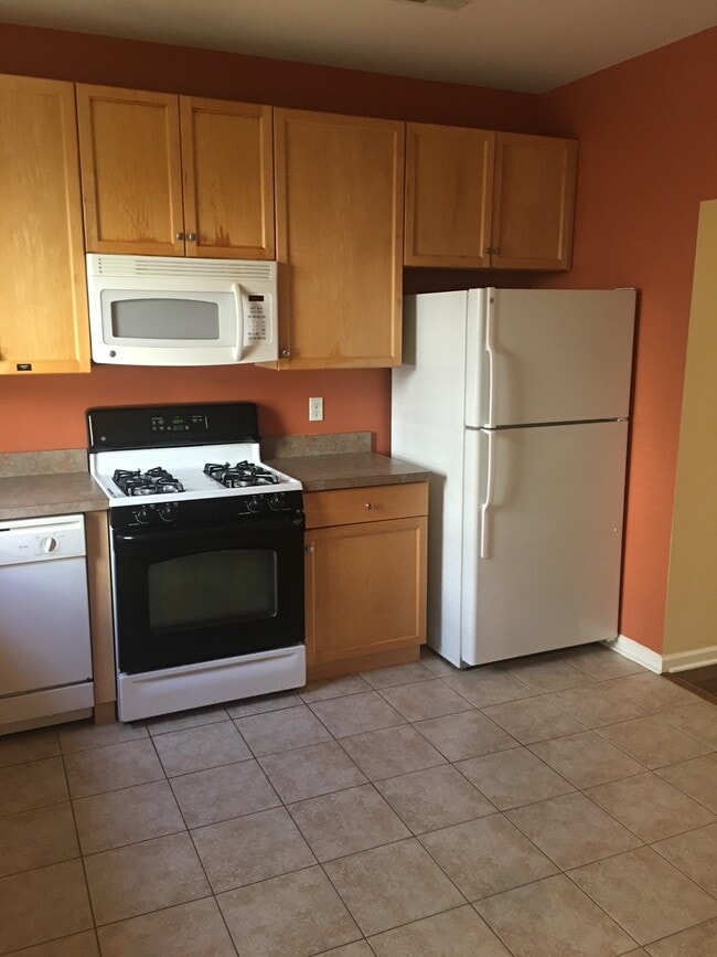 Kitchen including fridge, gas cooktop, dishwasher and microwave - 201 Dey St Apartment