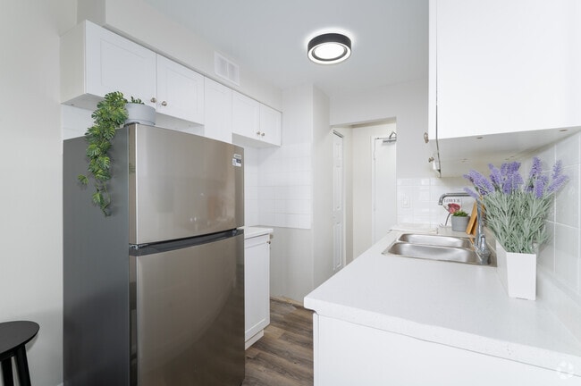 1BR, 1BA - 645SF - Kitchen - Main Street Apartments