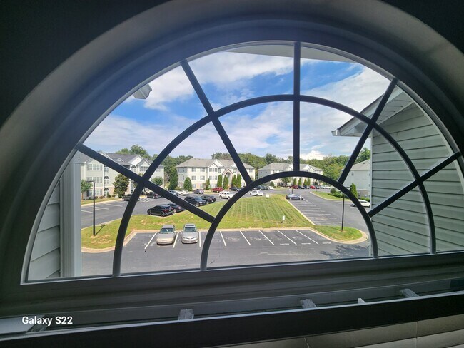 View from the main window - 4705 Pennoak Ln