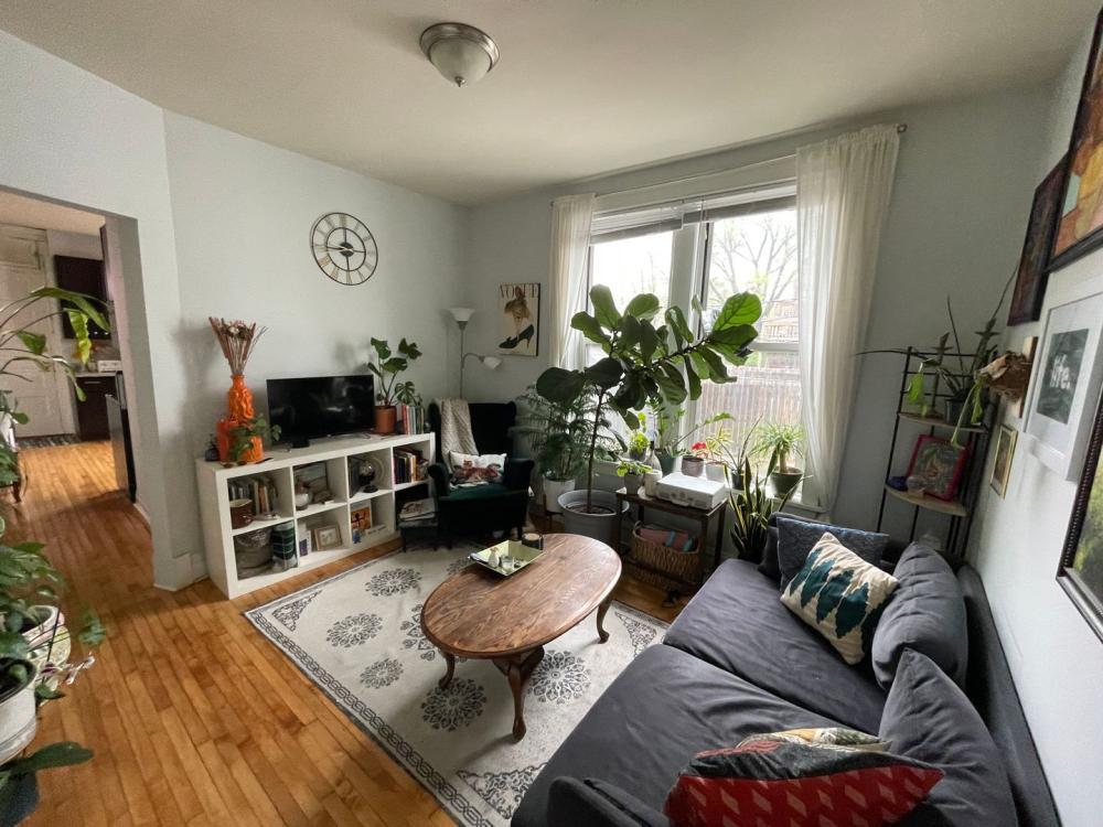 Foto principal - 2 bedroom in Chicago IL 60626