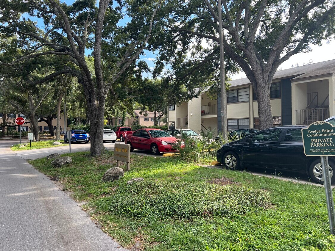 4809 S Mound Ave Unit 106, Tampa, FL 33611 Condo for Rent in Tampa