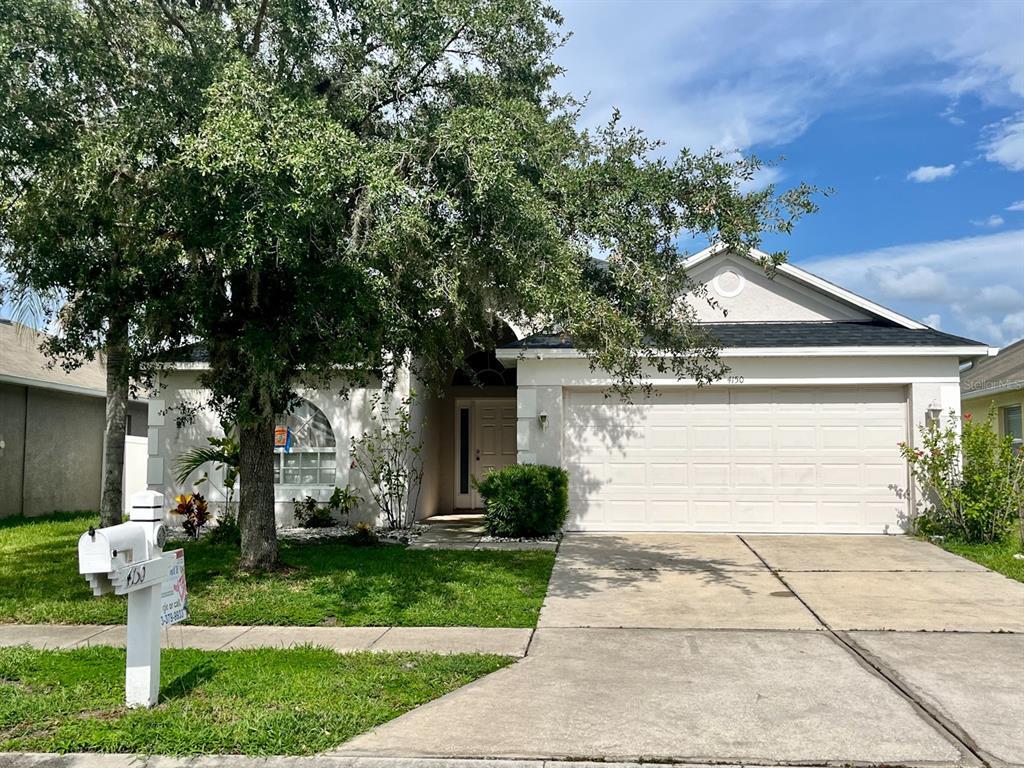 4150 Branchside Ln, Wesley Chapel, FL 33543 House Rental in Wesley