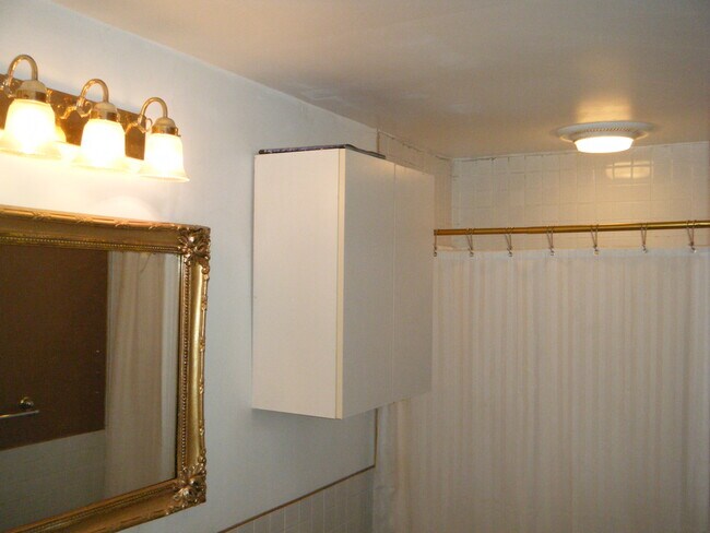 Main Bathroom - 163 Frances St