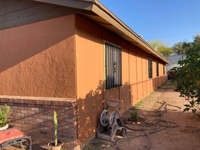 Side Yard - 1209 E Adams St