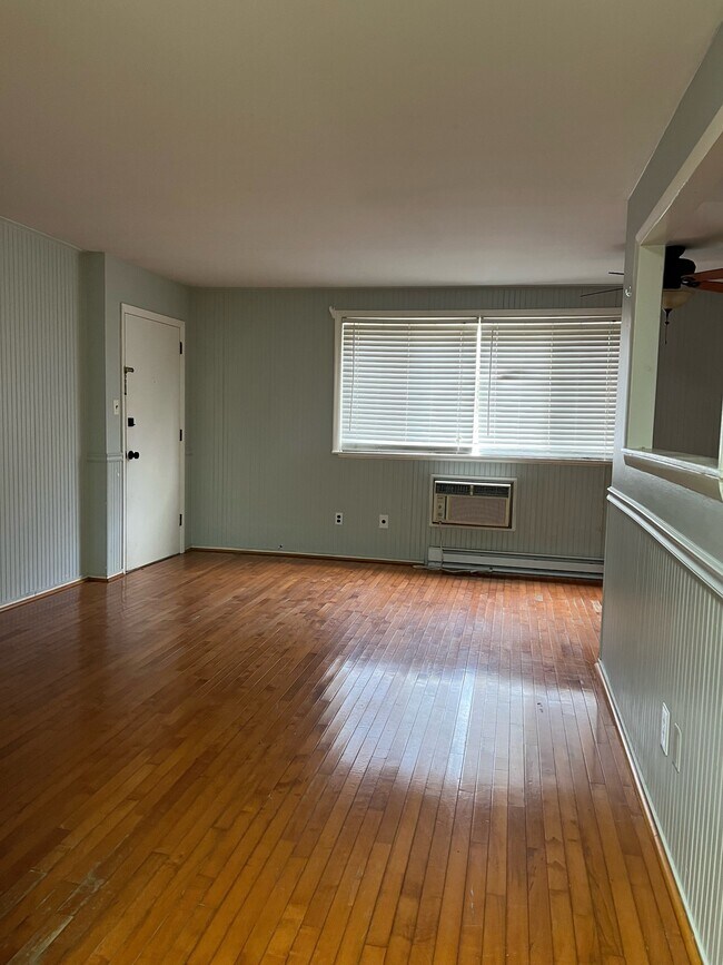 Main living space - 447 Pine Street
