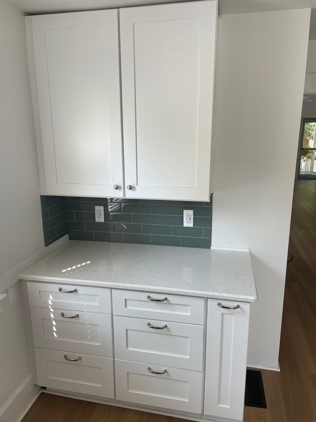 Pantry in the kitchen w/ new cabinets, counters, and electrical. - 137 Muir Rd