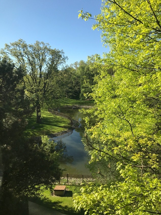Breathtaking View from All Rooms - 2115 Nature Cove Ct