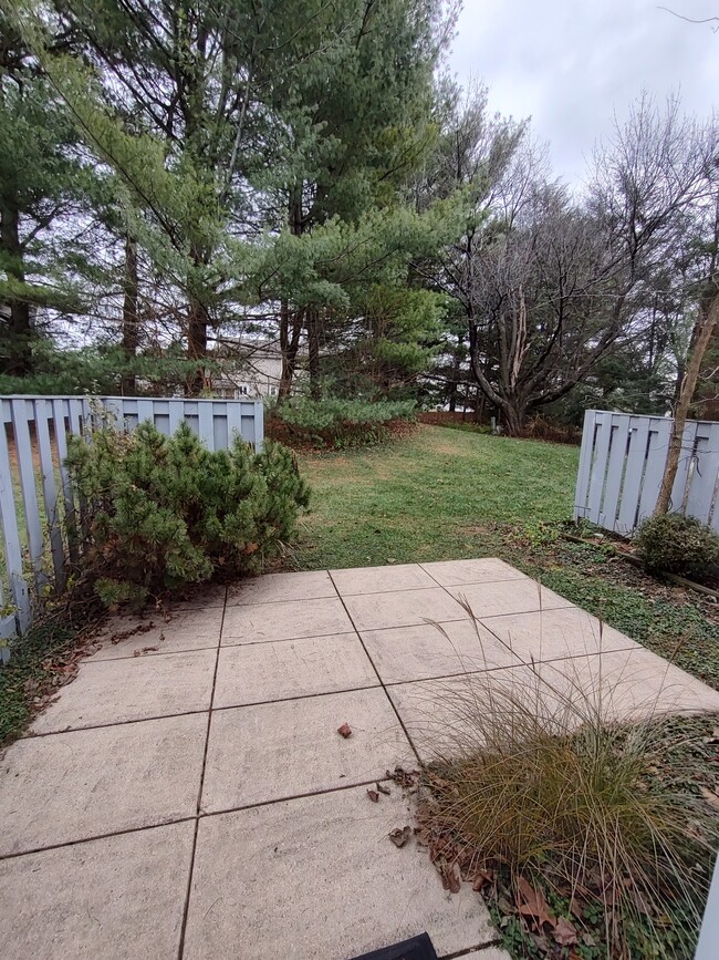 Rear Patio - 249 Crescent Dr