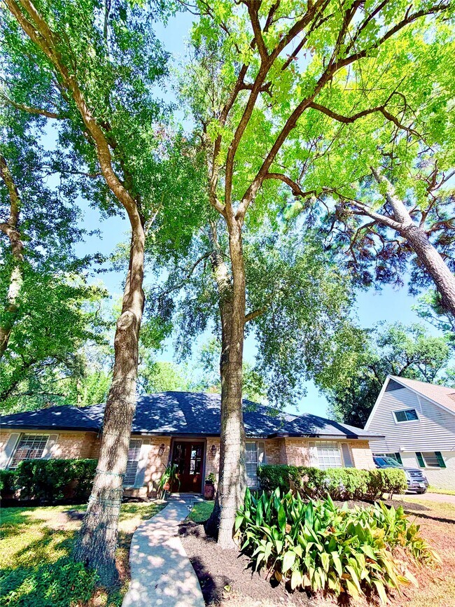 Building Photo - 7146 Bayou Forest Dr