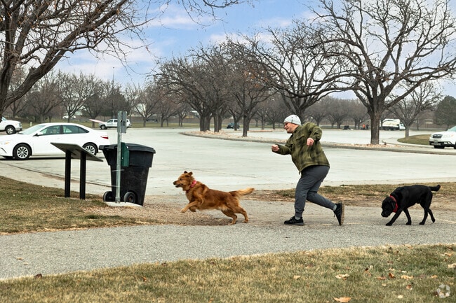 Taylorsville has many spots for dogs and their owners to play.