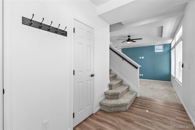 Building Photo - 10115 Yampa Ct