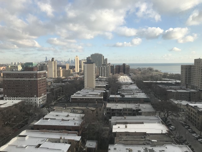 Bright and Sunny View from living room - 1700 E 56th St