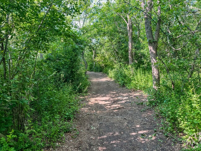 Deer Park residents can enjoy a relaxing hike in Edgewood Oak Brush Plains Preserve.