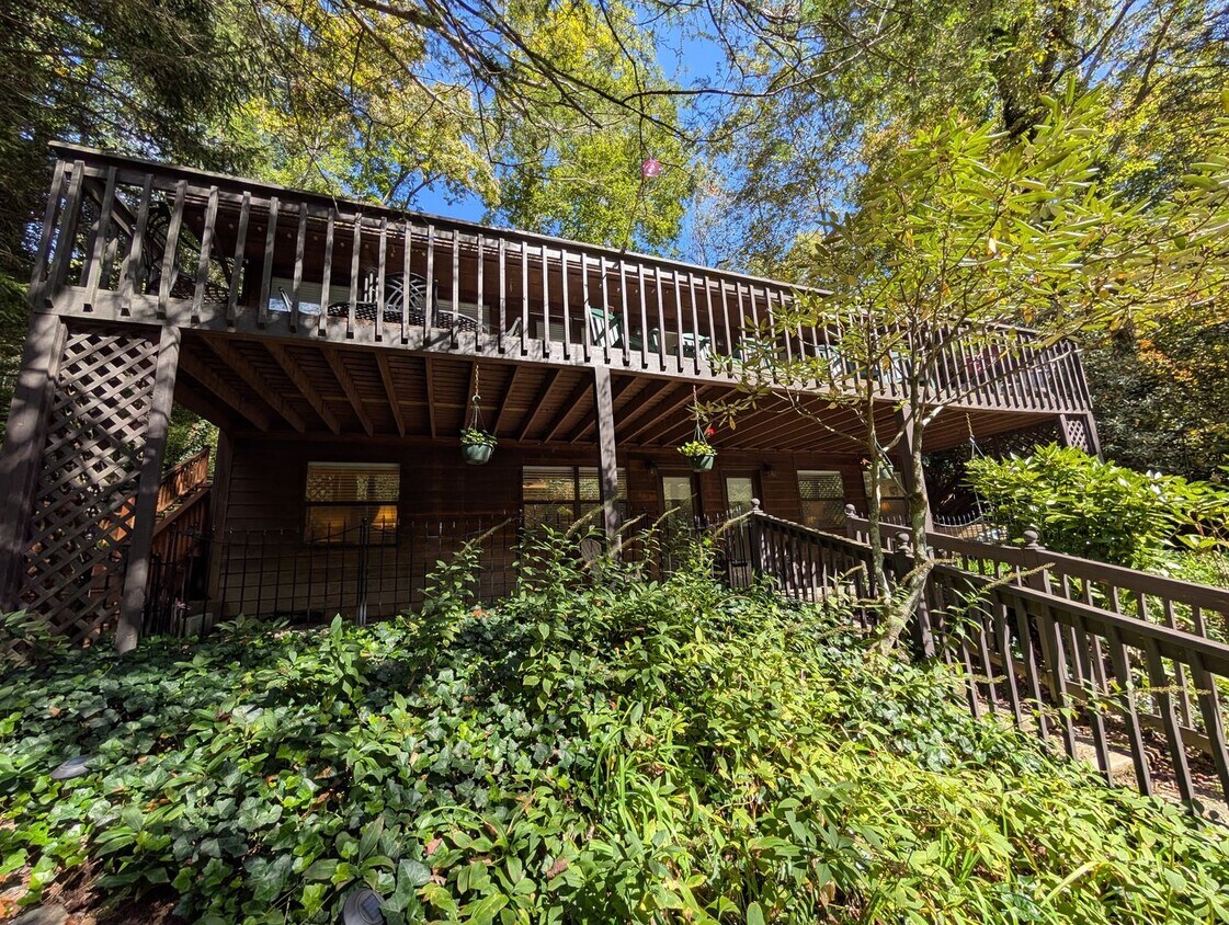 Primary Photo - Furnished Montreat Basement Apartment! - U...