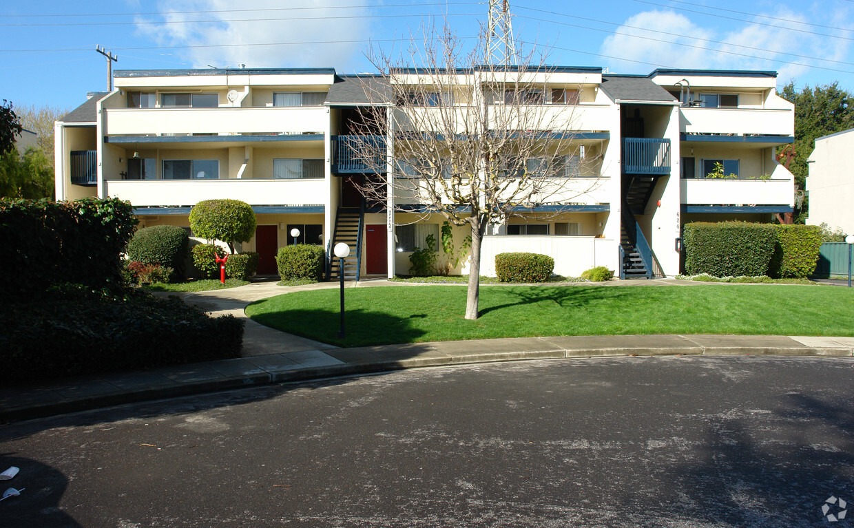 Primary Photo - Alamo Park