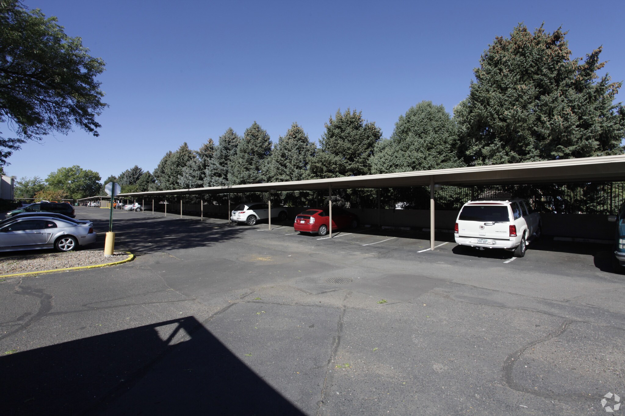 1150 Syracuse St Denver Co 80220null