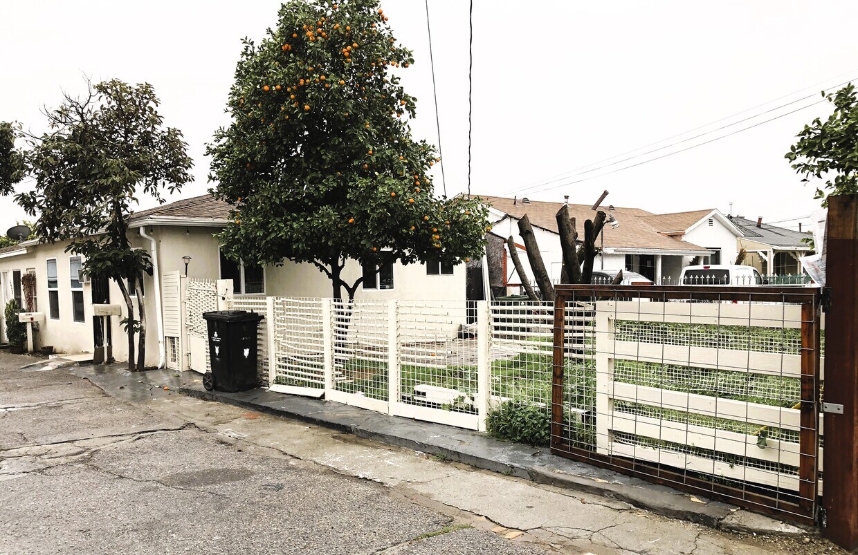 254 PetFriendly Houses for Rent in San Fernando Valley, CA Westside