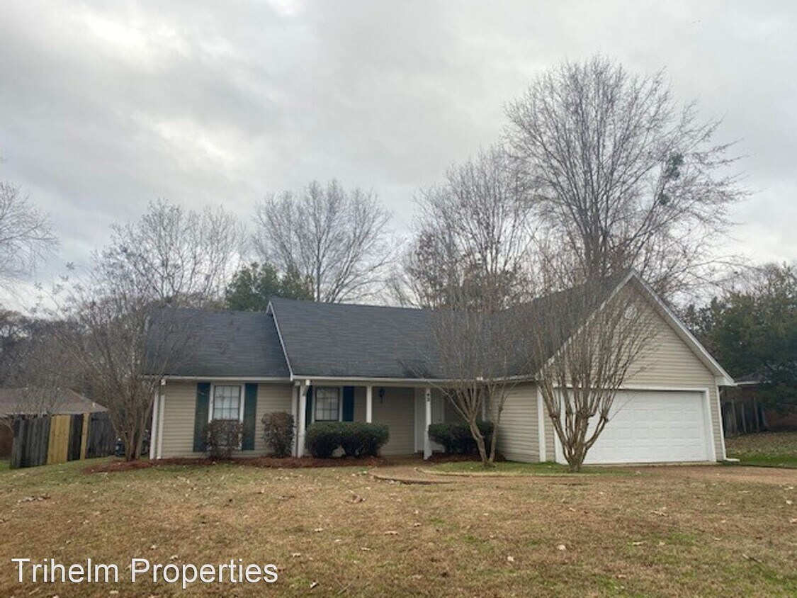 Primary Photo - 3 br, 2 bath House - 62 Camellia Ln