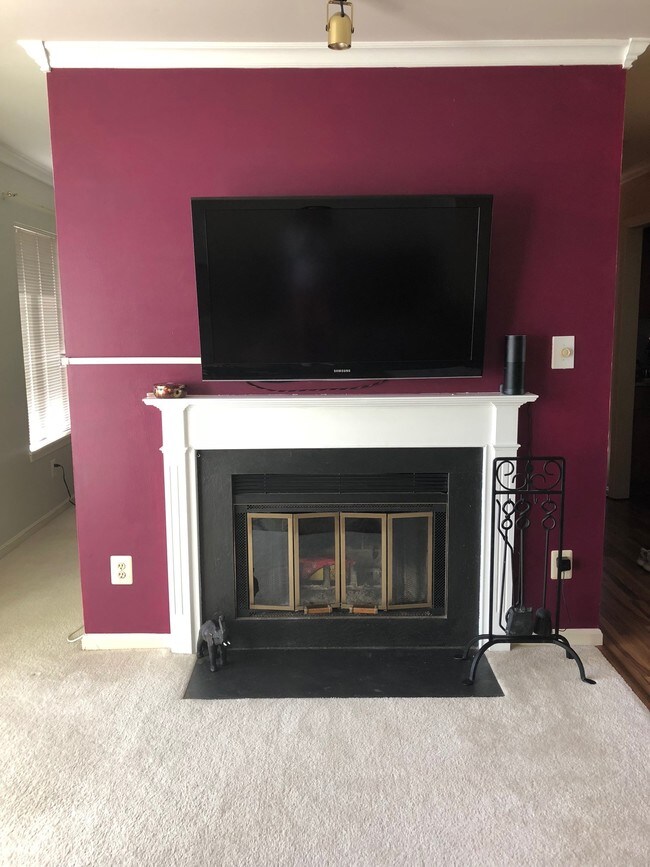 Fireplace - 2807 Lee Oaks Ct