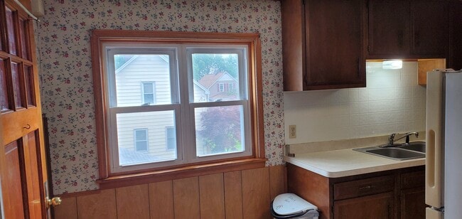 Kitchen Windows - 15 Francis Ave