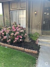 Building Photo - 4524 Donner Ct