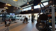 This fitness center is designed to deliver a premium workout experience through a thoughtful combination of architectural design and extensive equipment offerings. The space features soaring ceilings with exposed dark-finished beams, complemented by striking gold-interior pendant lights and large ceiling fans that enhance airflow and ambiance throughout. Floor-to-ceiling windows line one side of the facility, flooding the interior with natural light and offering open views of the surrounding outdoor areas.

The flooring consists of durable rubber gym tile in a patterned layout, providing comfort and safety across all workout zones. Full-length mirrors along the walls amplify the sense of space and allow users to monitor their form during exercise. A large flat-screen TV is integrated into a sleek dark paneled wall, displaying a Fitness on Demand platform for on-screen guided workouts, alongside additional screens mounted throughout the space.

Equipment is organized across distinct zones: cardio machines including treadmills, ellipticals, and a rebounder trampoline line the window-facing side, while a strength training area houses a multi-functional cable machine, free weights, dumbbells, medicine balls, a punching bag, and resistance equipment. A dedicated open-floor stretching and functional training zone rounds out the facility.