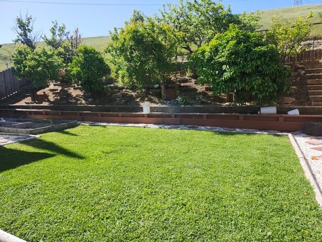 Building Photo - 2237 Daffodil Dr
