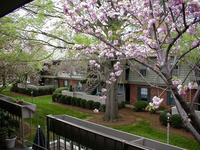 Primary Photo - 2 BEDROOM CONDO IN SALEM SQUARE!
