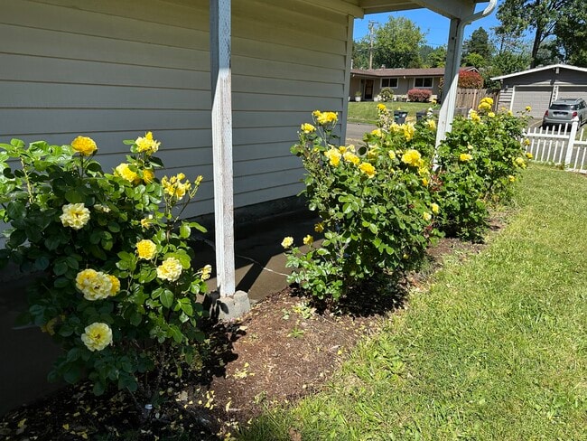 Foto del edificio - 13067 SW 63rd Pl