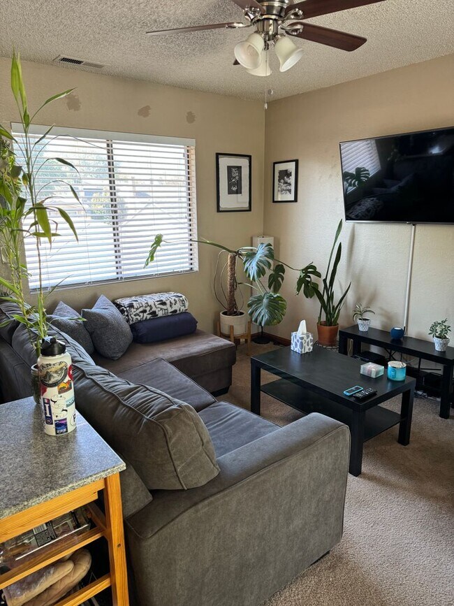 Building Photo - Caliente 4-plex