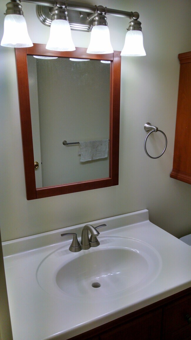 Baño - 55 Wildman St