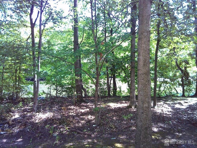 Building Photo - 228 Pinelli Dr