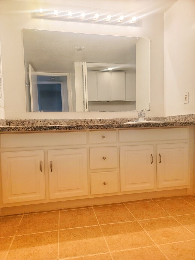 Newly Updated Full Bathroom - 3015 Walnut Bend Ln
