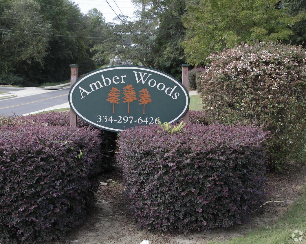 Entrada - Amber Woods Apartments