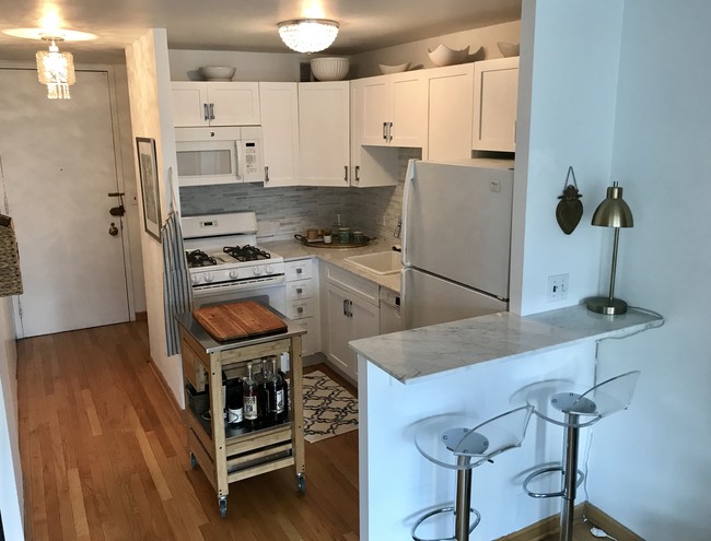 Carrera marble counters & dishwaser - 1 E Scott St