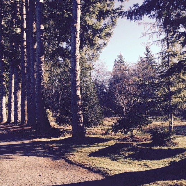 Building Photo - 2500 Samish Way