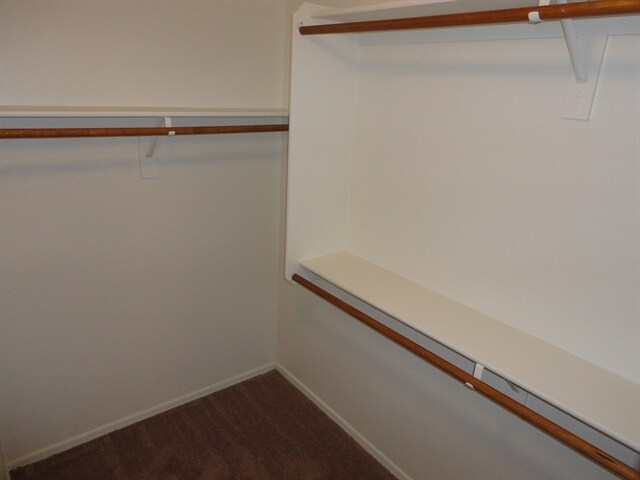 Building Photo - 3537 W Paseo Way