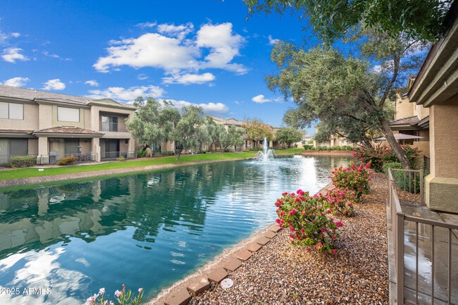 Foto del edificio - 705 W Queen Creek Rd