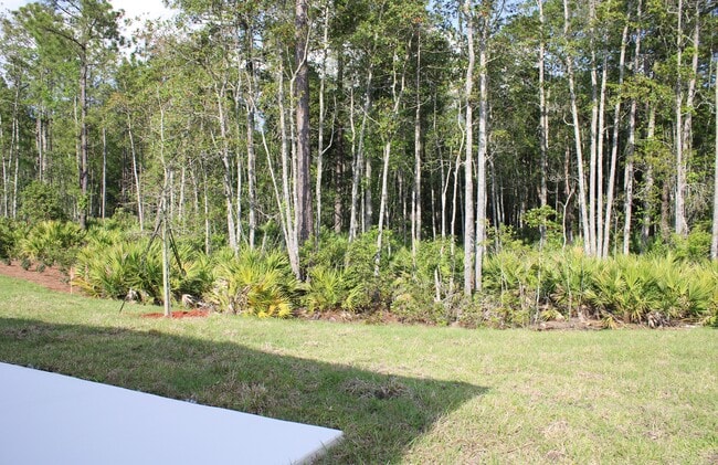 Back yard/preserve - 92 Falcon Ridge Rd