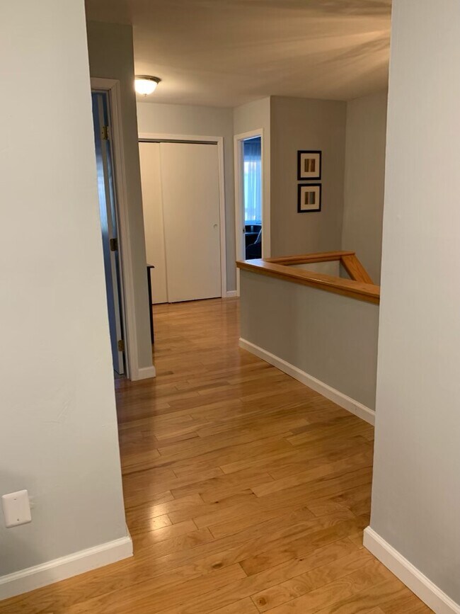 Entry Room - 824 Meadowview Ln