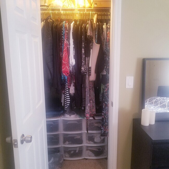 Foto del edificio - Basement - Skylar Leigh Dr