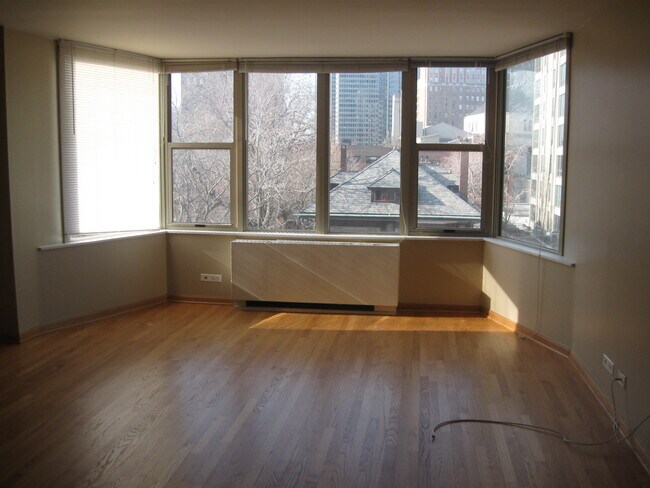 Sala de estar principal - vacía - 525 W Hawthorne Plz
