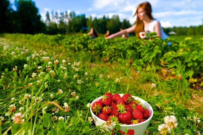 Foto del edificio - 1513 Tristar Dr