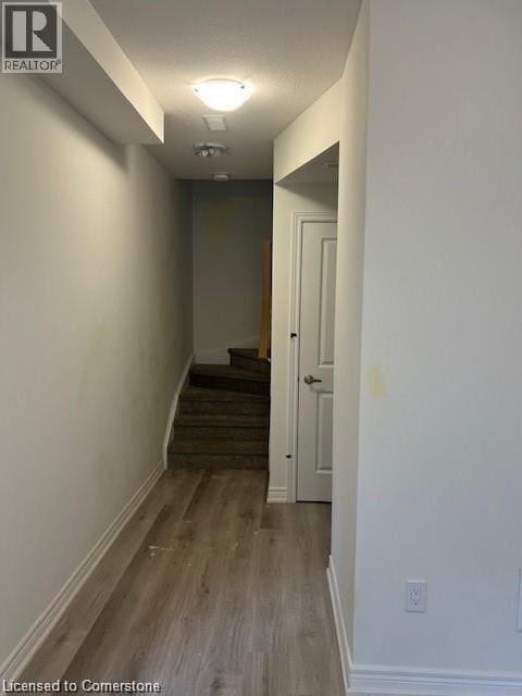Building Photo - 17 Dryden Ln