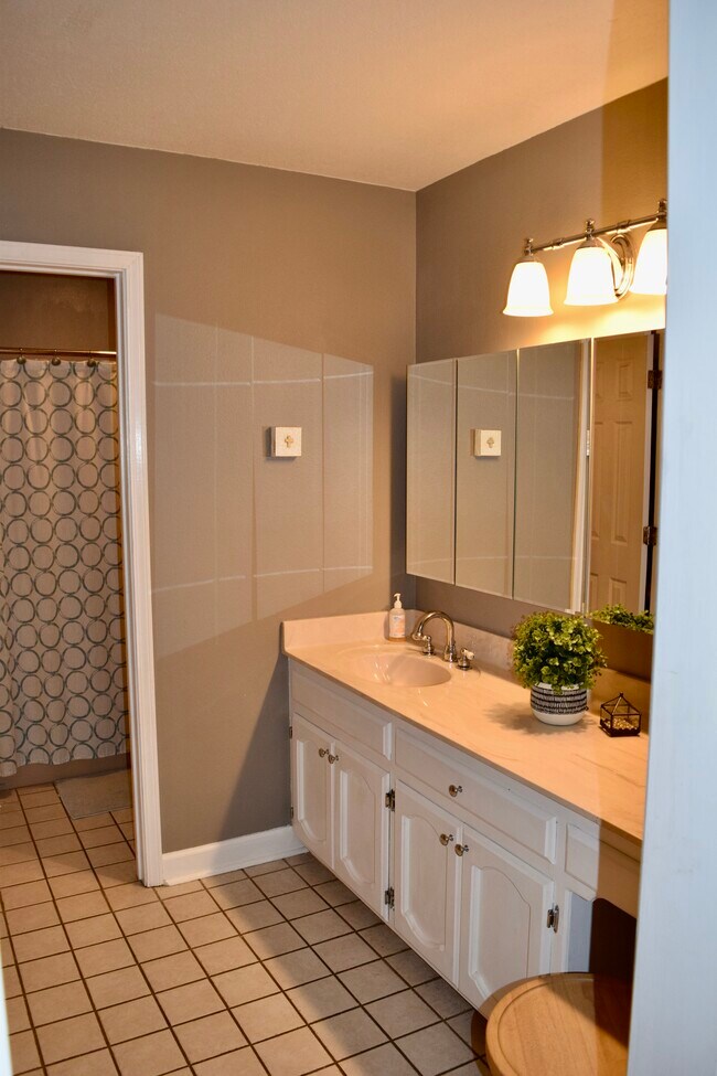 12359 Allison Dr, Geismar, LA 70734 House Rental in Geismar, LA