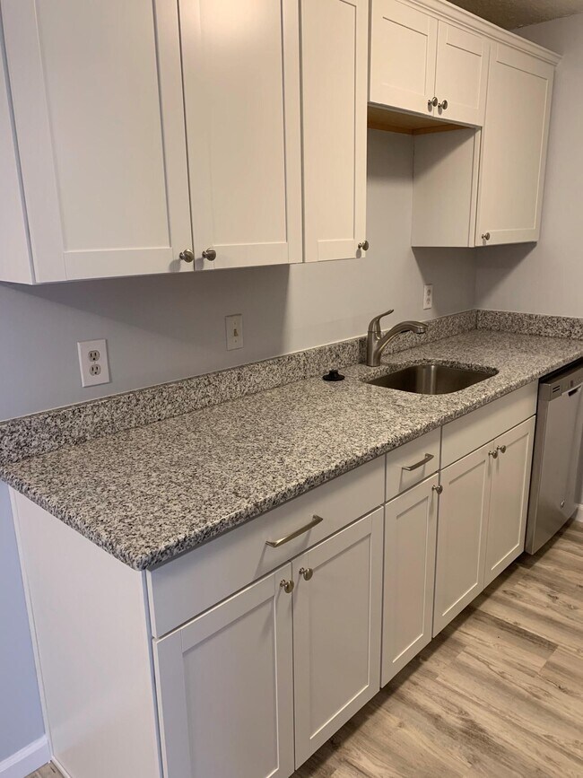 25 Village Rock Ln Unit 1, Natick, MA 01760 Condo for Rent in Natick